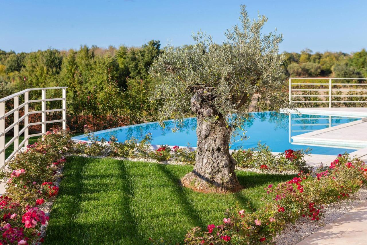 Villa Blanche By Ilc Brtonigla Exterior foto